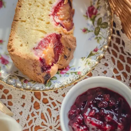 Krokus Park Kościelisko