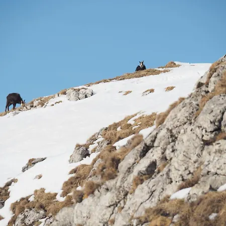 Krokus Park 4* Kościelisko