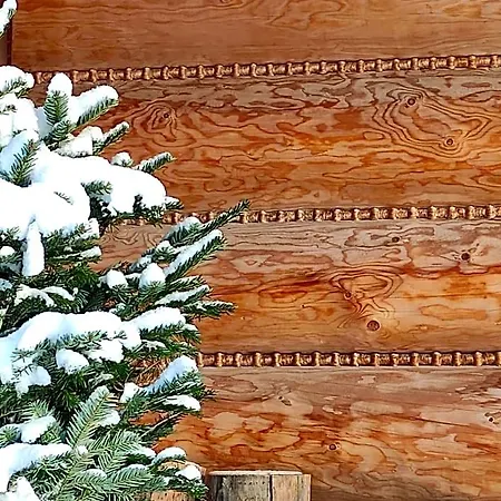 Bed & Breakfast Krokus Park 4*