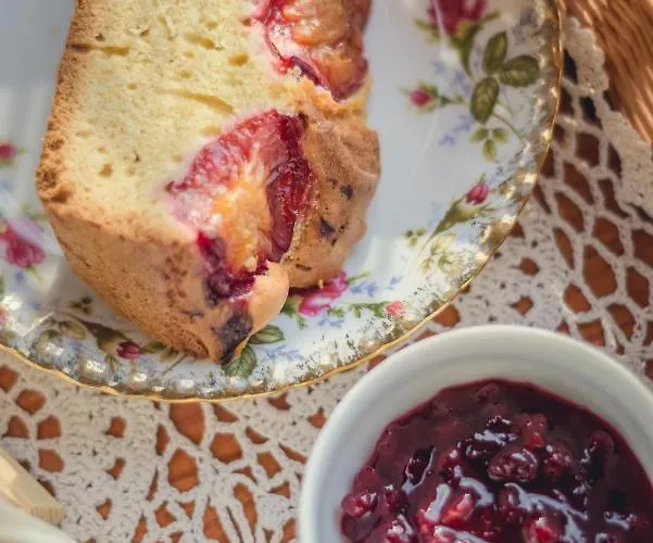 Krokus Park Kościelisko