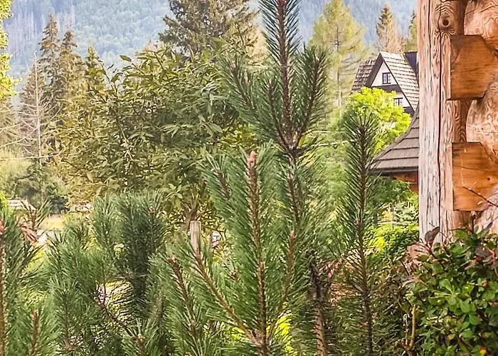 Krokus Park Bed & Breakfast Kościelisko