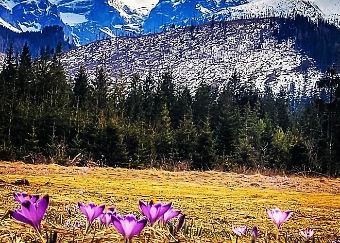 Krokus Park Kościelisko